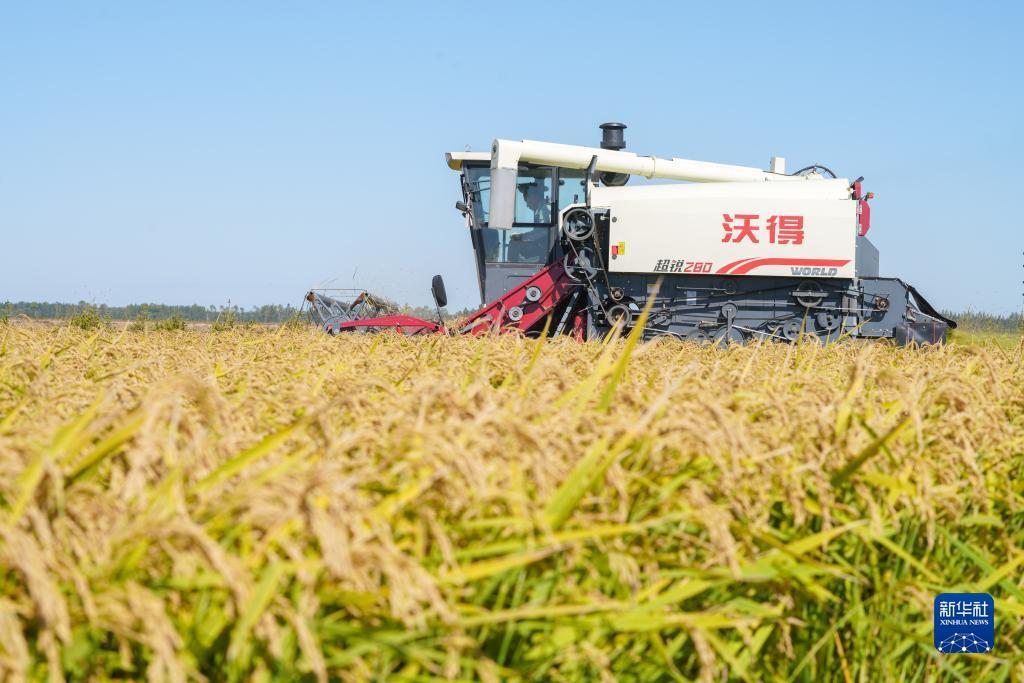 24小时下分打鱼